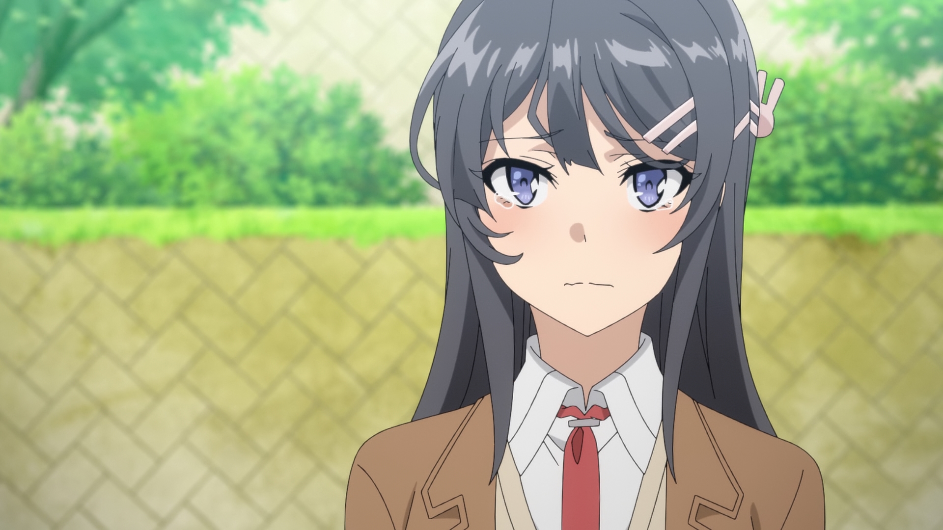 Seishun Buta Yarou wa Bunny Girl Senpai no Yume o Minai - Anime - AniDB